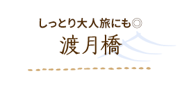 しっとり大人旅にも◎ 渡月橋